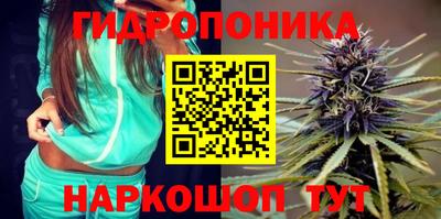spice Абинск