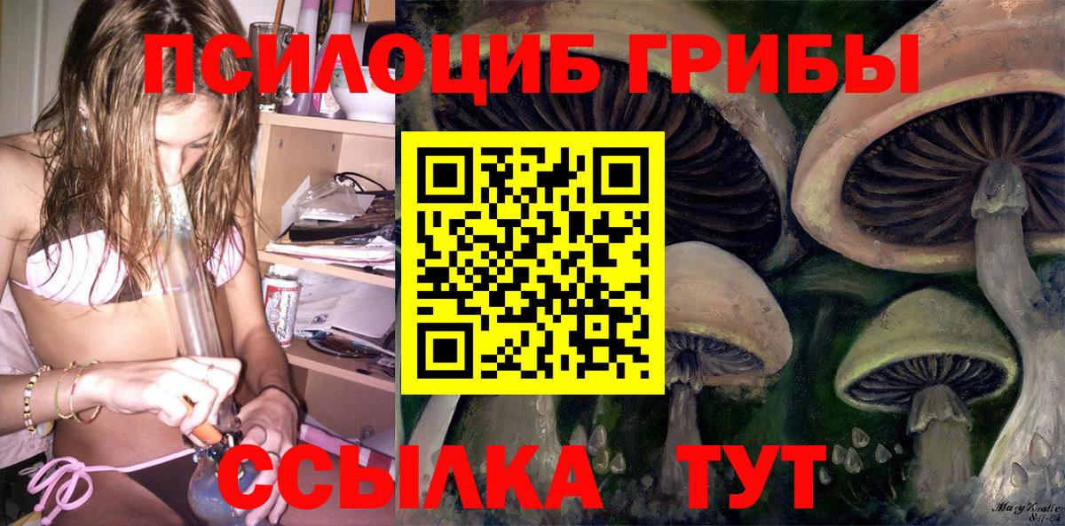 Галлюциногенные грибы Cubensis Алексин