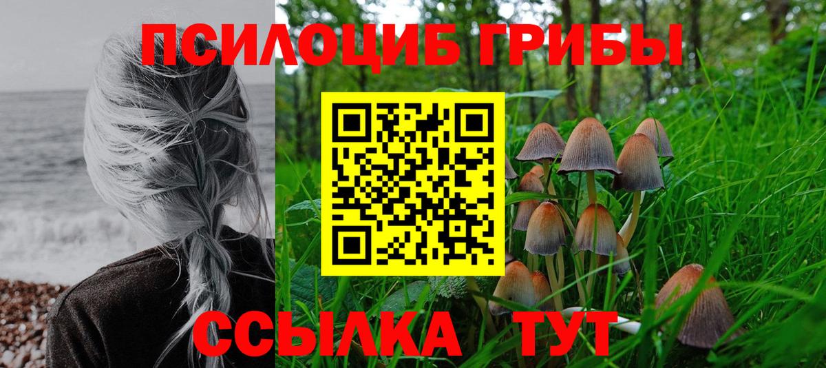 Псилоцибиновые грибы Cubensis  закладки  Псилоцибиновые грибы Psilocybe  Алексин  Вход с VPN 